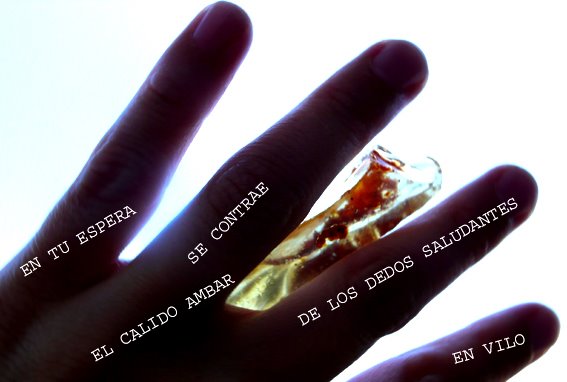 [foto+Blog2+copia.jpg]