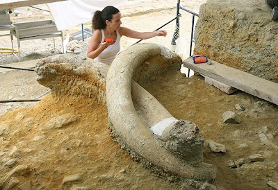 Mamut