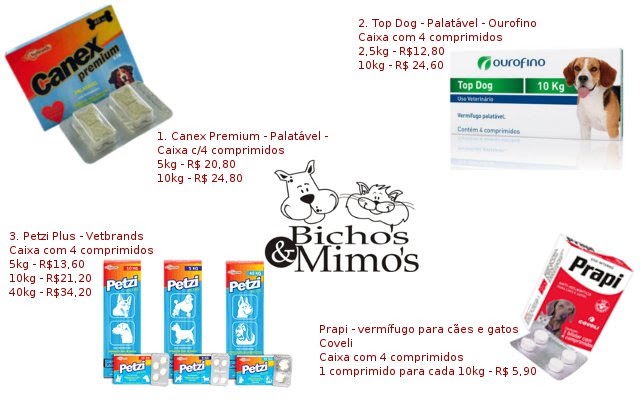 Se pode haver temperatura de vermes em um gato