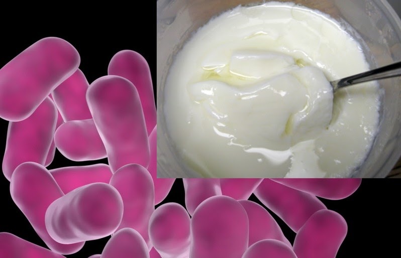 Backyard Farms Yogurt and Probiotics