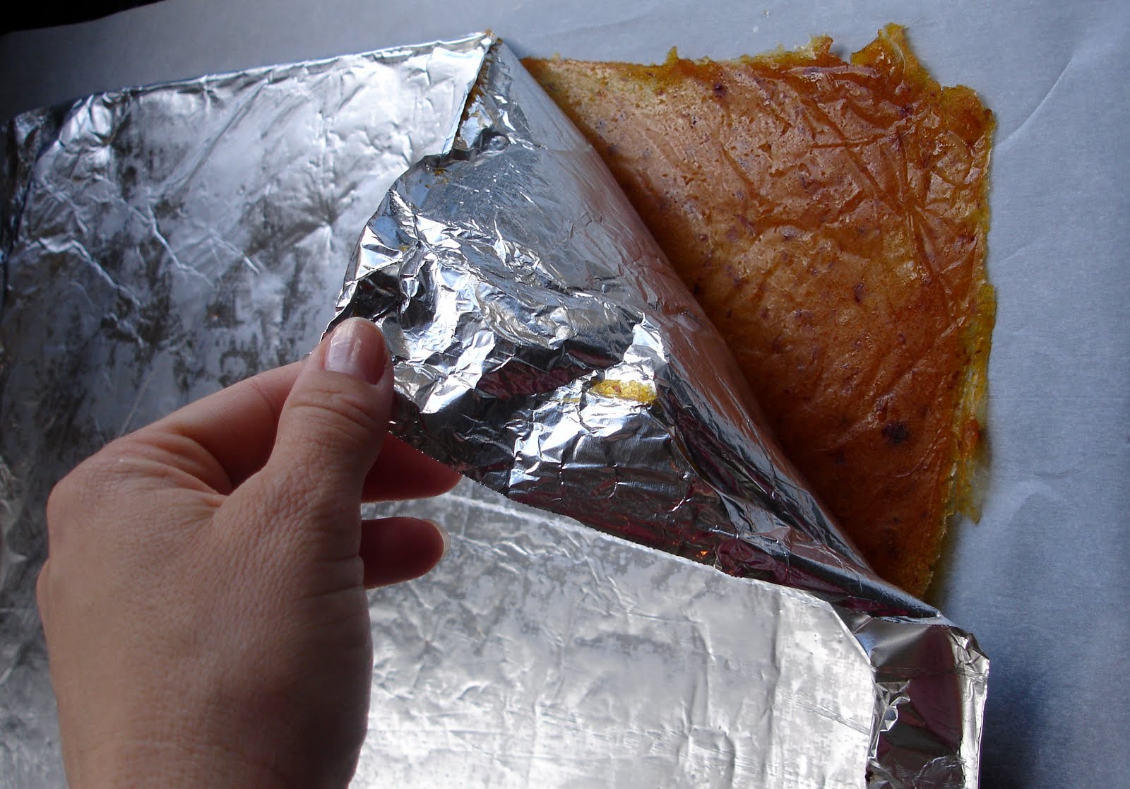 From Which Things Grow Chew on This Homemade Apricot Fruit Roll Ups