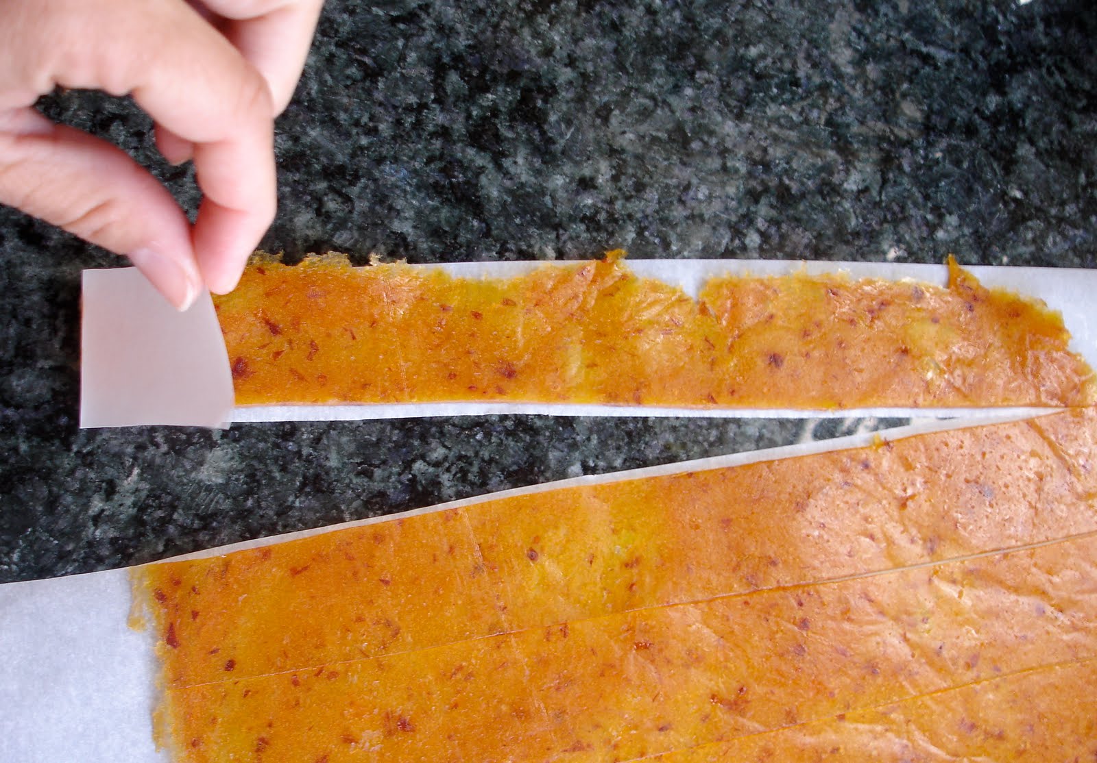From Which Things Grow Chew on This Homemade Apricot Fruit Roll Ups