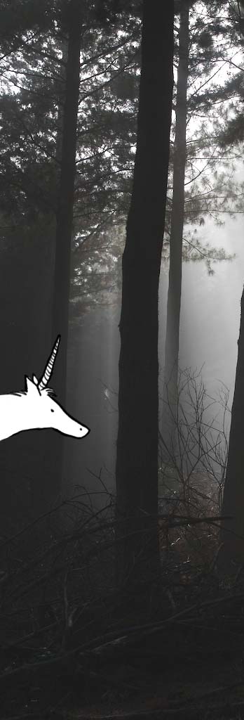 [UNICORNIO.jpg]