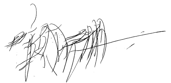 [garabatodario001.gif]