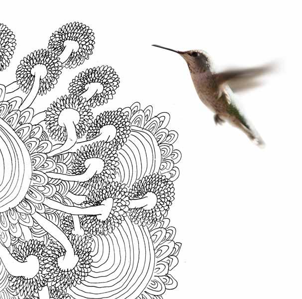 [COLIBRI.jpg]