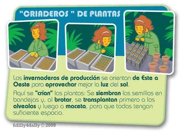 [estufas.jpg]