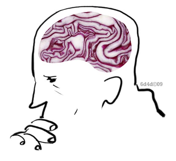 [brain.jpg]