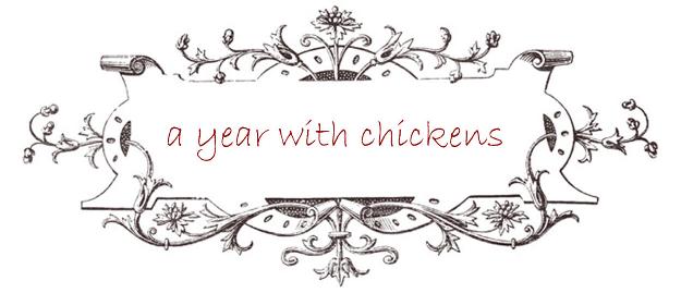 a year with chickens