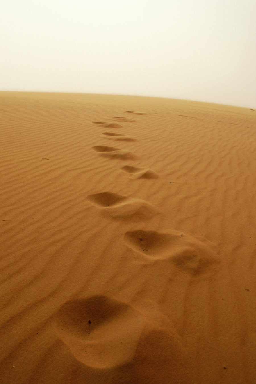 [desert_storm-big.jpg]