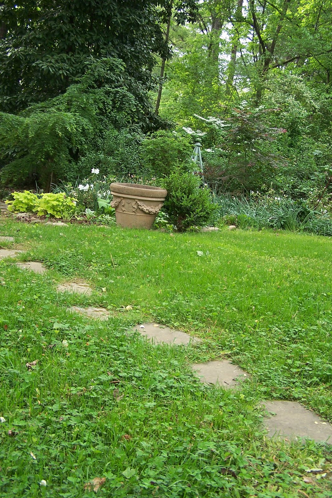TARA DILLARD Best Lawn TARA TURF TARA DILLARD Best Lawn TARA TURF