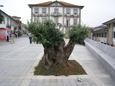 Oliveira com 460 anos oferecida à Câmara Municipal de Oliveira de Azeméis