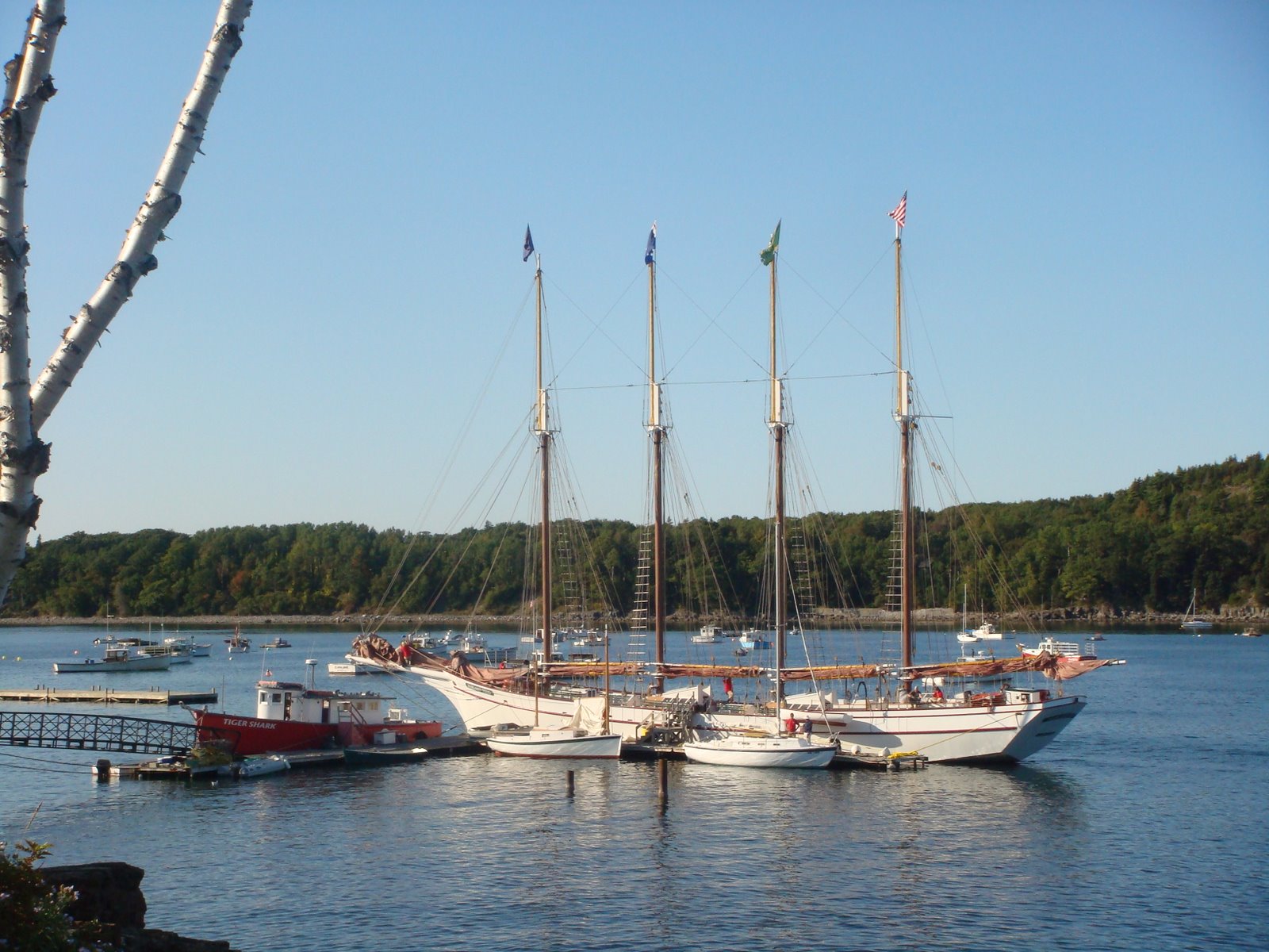 [DSC02487.JPG]