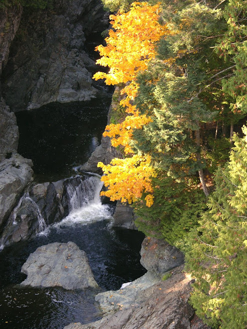 Autumn at Sooke Potholes