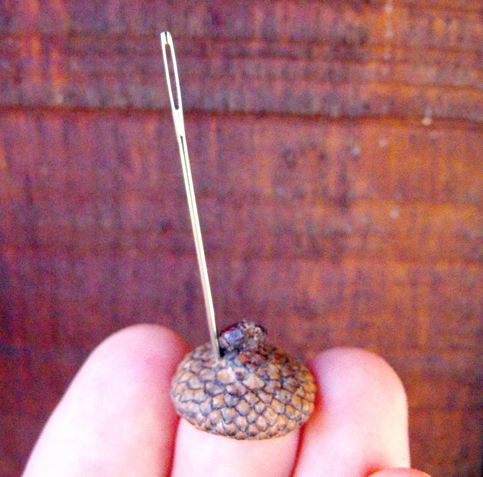 Acorn Top