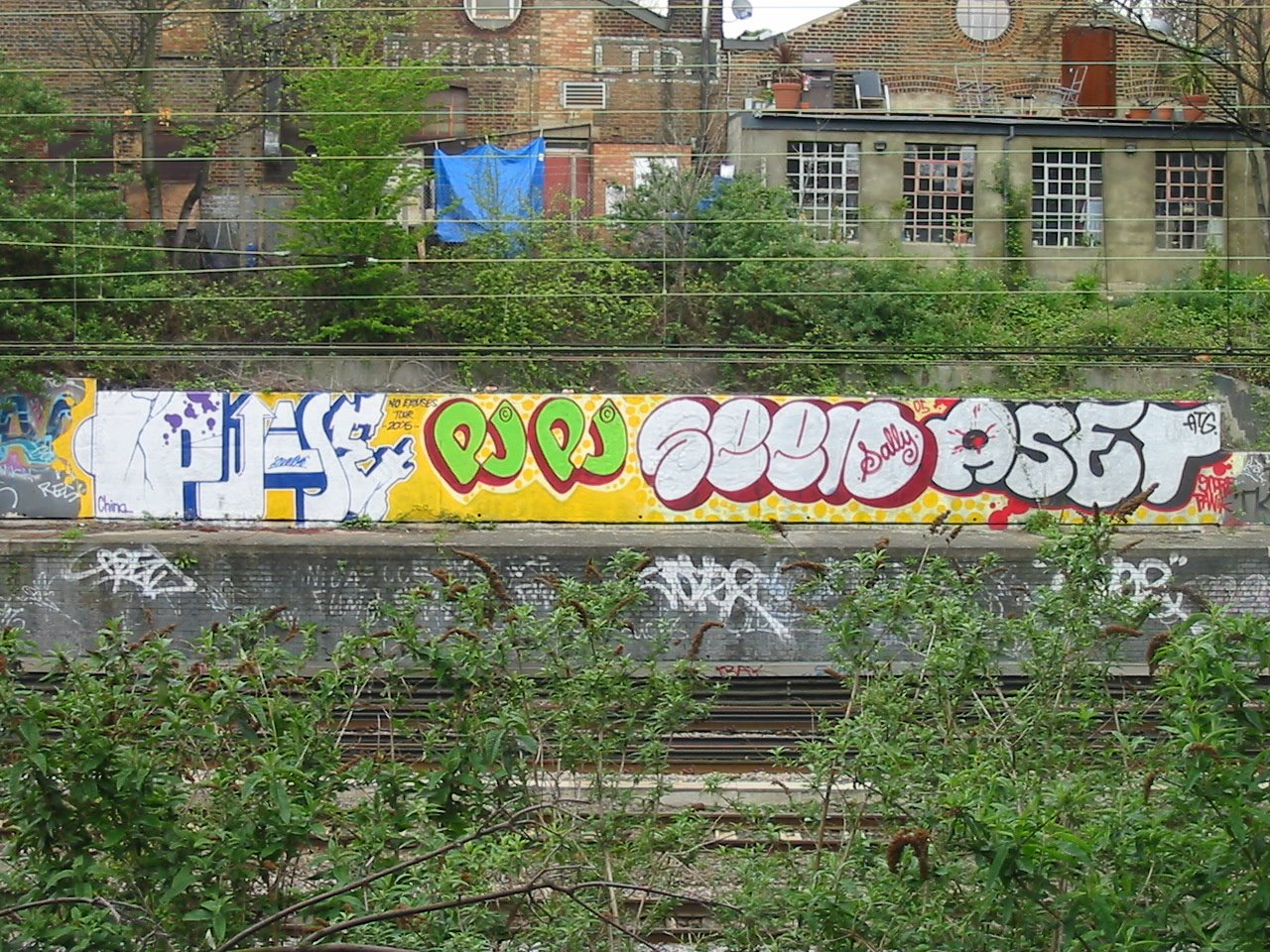 [IMG_2467.JPG]