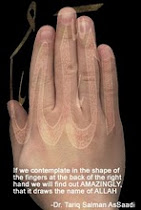 Shape of fingers forms word ALLAH