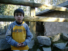 Buin Zoo - Lugar Turistico cerca de Santiago