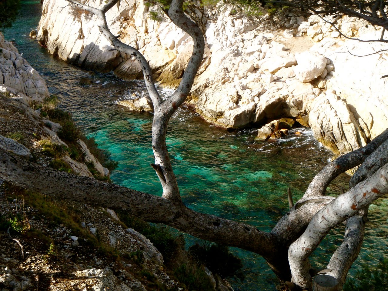 [calanques-14.jpg]