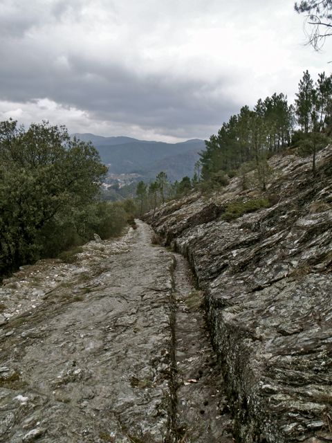 [St+Pierre+Signal_5.jpg]