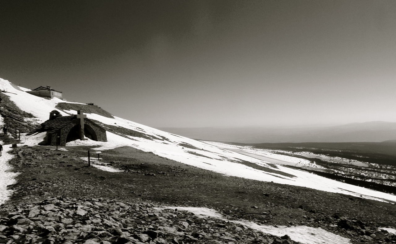 [trailventoux17.jpg]