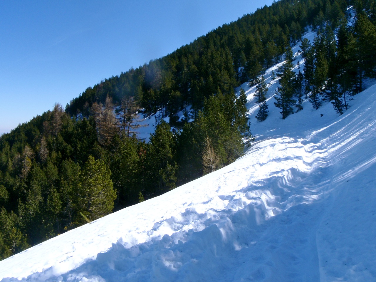[trailventoux07.jpg]