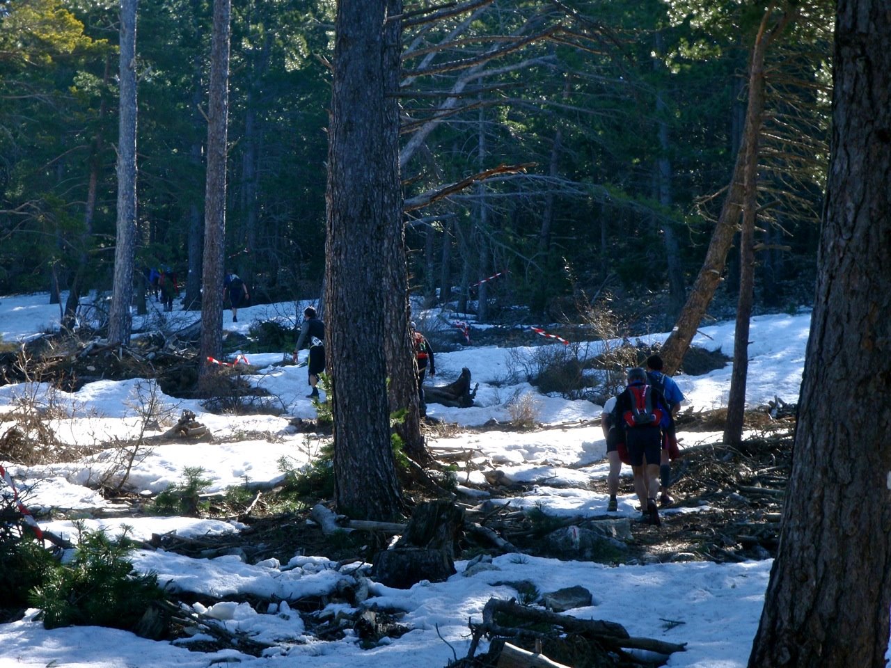 [trailventoux05.jpg]