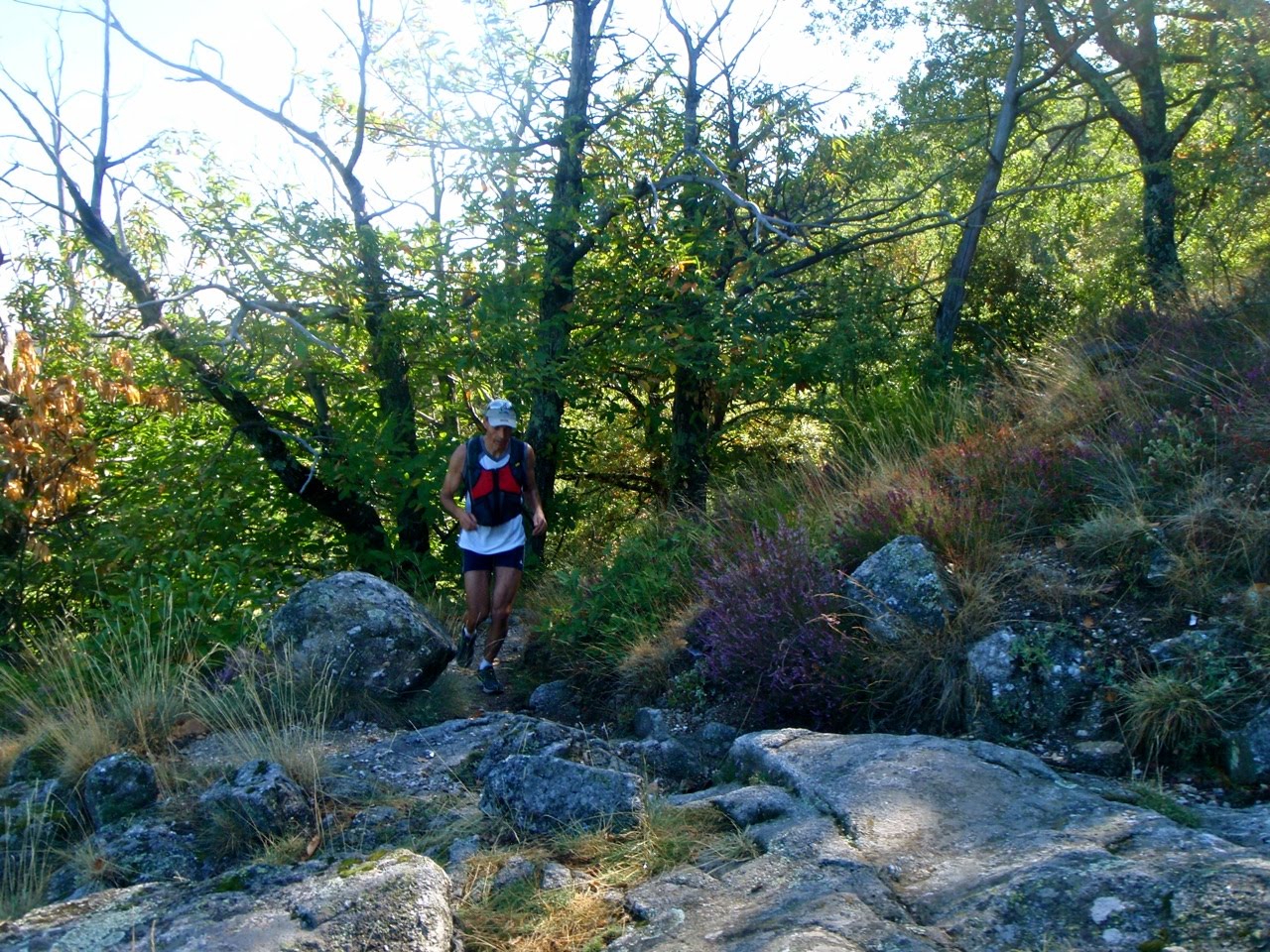 [Vallborgnsol06.jpg]