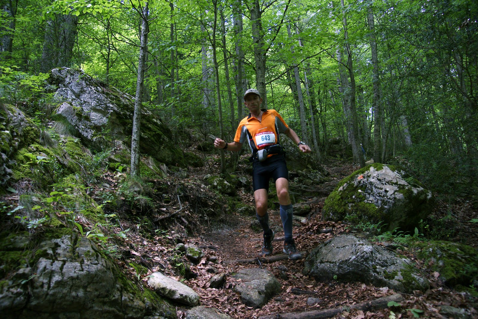 [om_09_prionia_58.JPG]