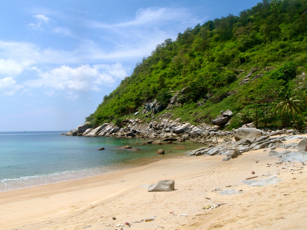[Phuket_jungle16.jpg]