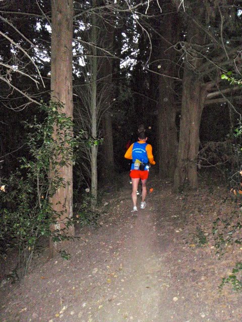 [hivernatrail08.jpg]