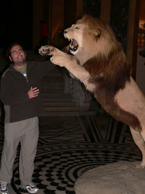 lion markings
