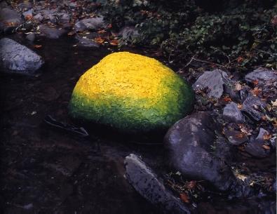 [goldsworthy-boulder.3.jpg]