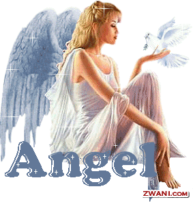[angel8.gif]