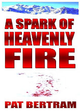 A Spark of Heavenly Fire -- A Novel by Pat Bertram