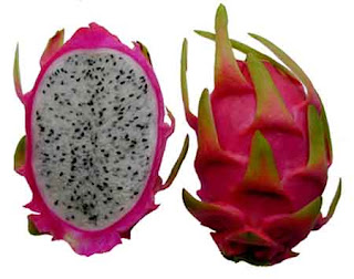 Dragon Fruit.