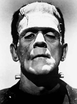 [frankenstein.jpg]