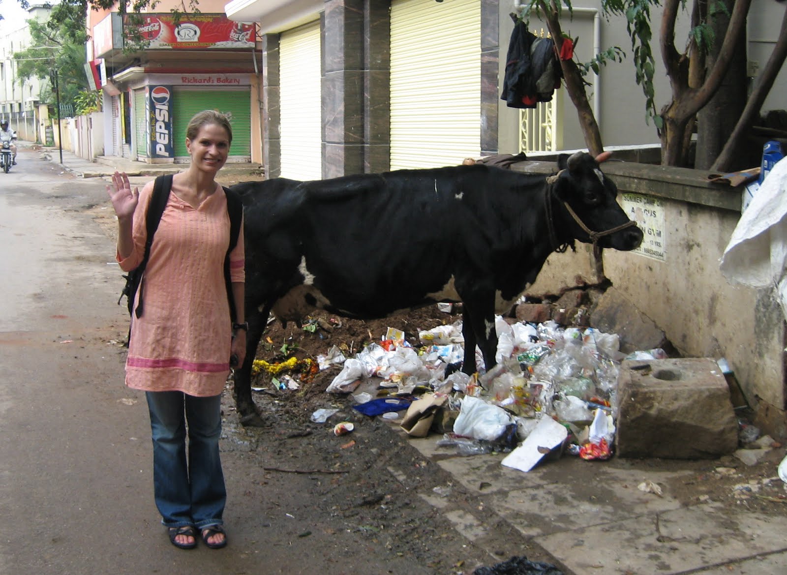 Meeting my 1st street cow in India