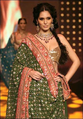 Hollywood hotties looking Sexy in saree - Pictures here