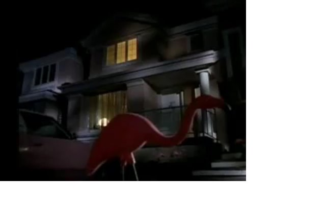 [Flamingo.bmp]