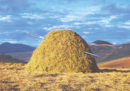 [Haystack-FINALb.jpg]