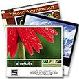 Wall Calendars