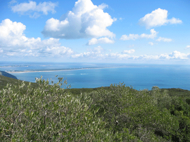[IMG_0024.gif]