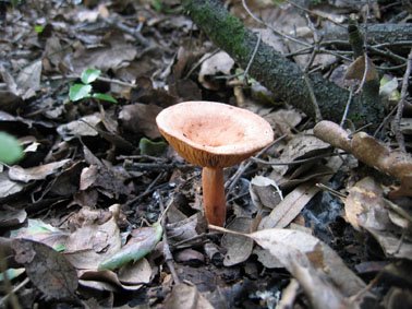 [IMG_0116.JPG]