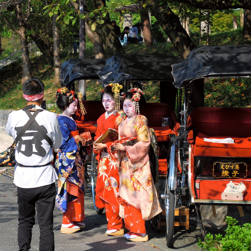 [3177612449_01847b383f_b.jpg]