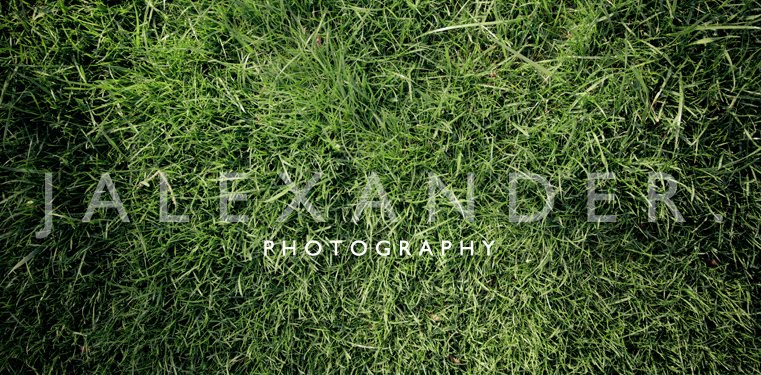 Jalexander. Photography
