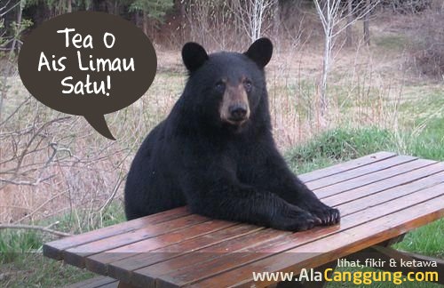 Posted by muhammad amirul masiran at 12:22 AM