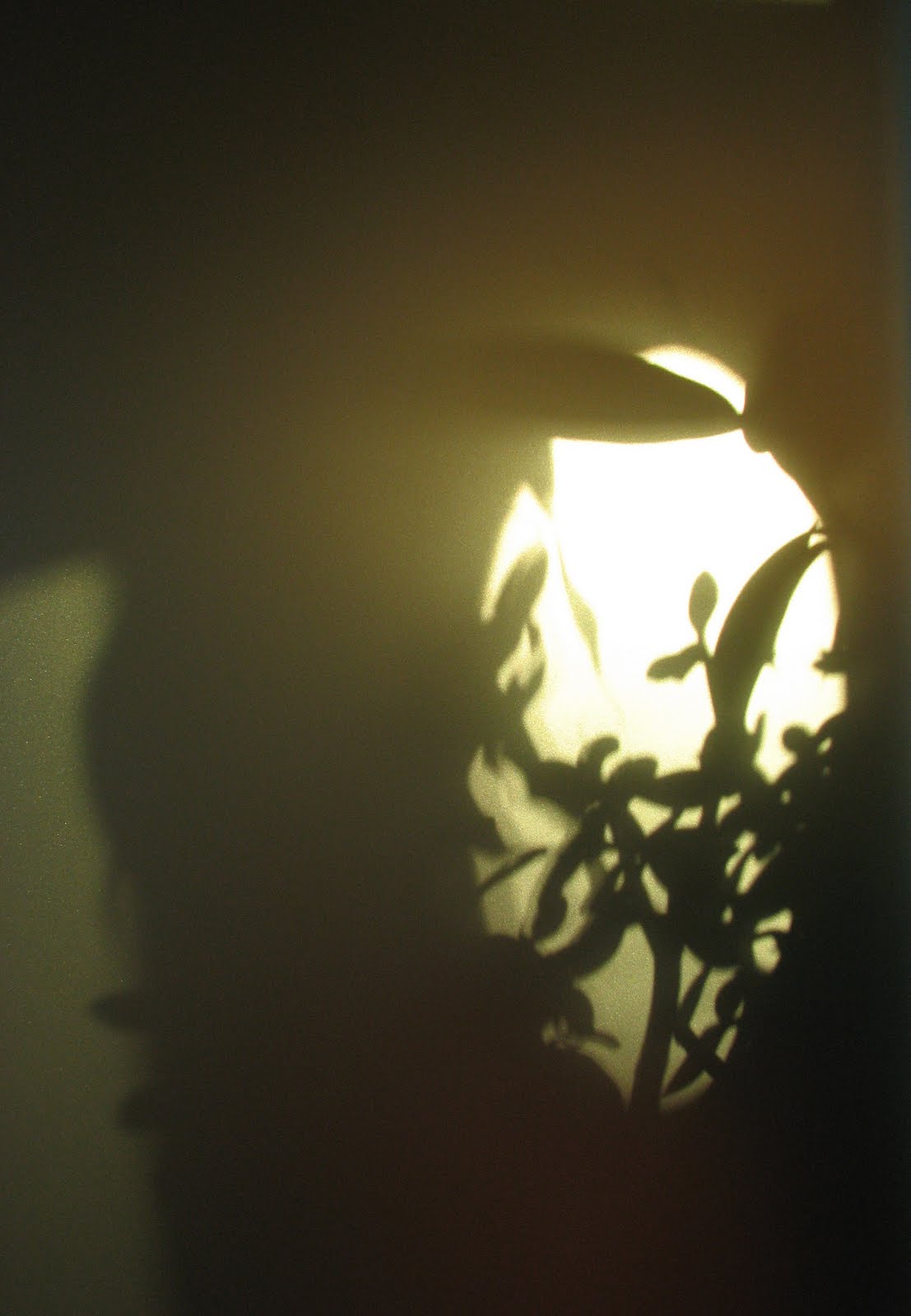 [92809light.JPG]