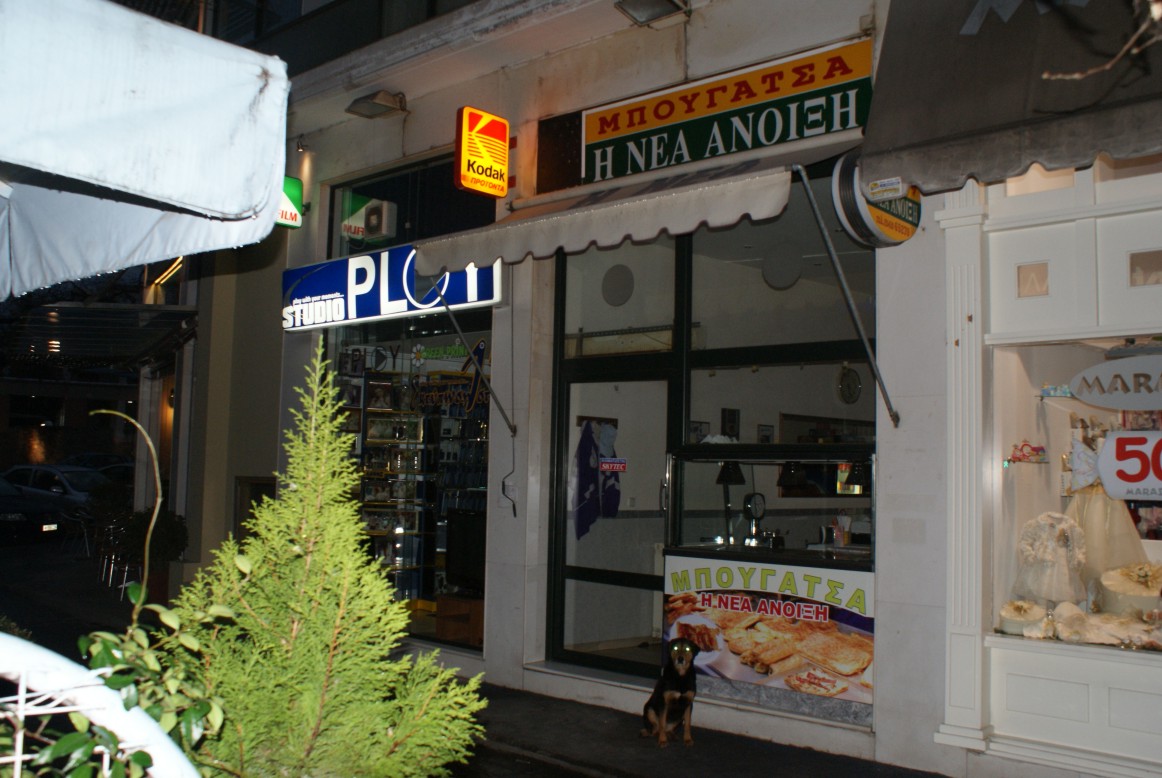 [DSC05782.JPG]