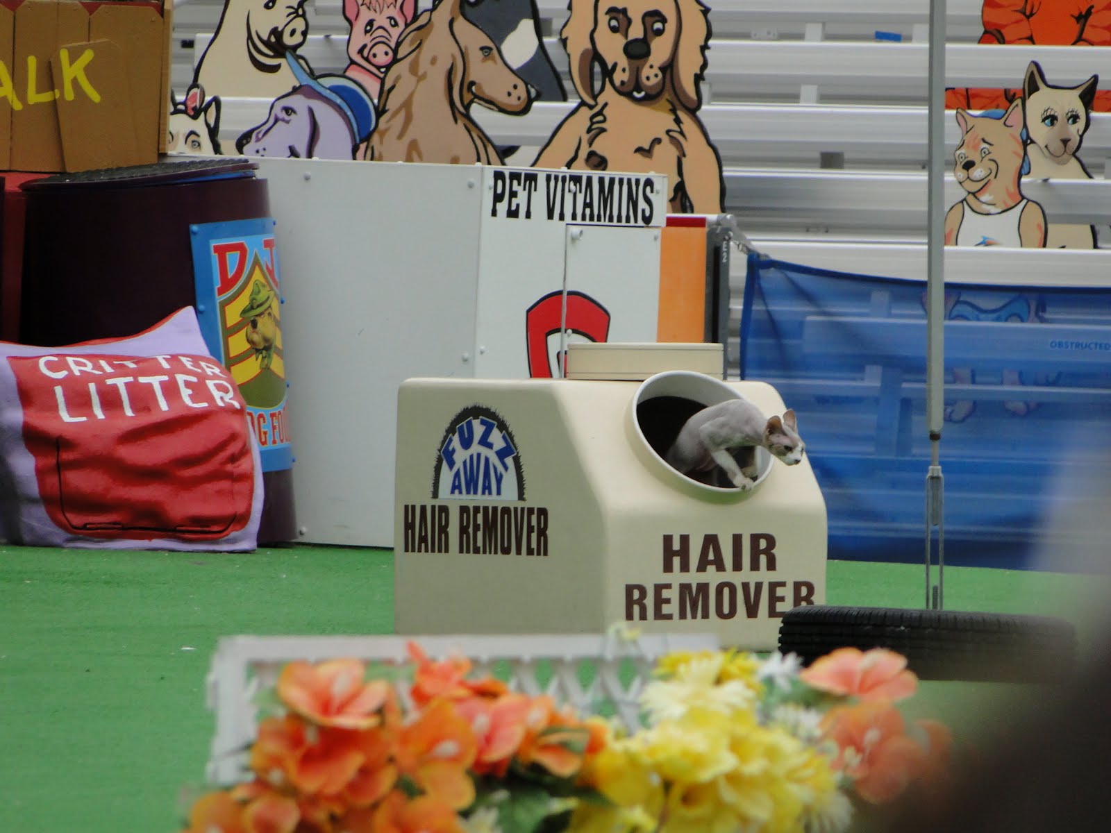 O.C. Smart Pets Pets Rule at SeaWorld San Diego!