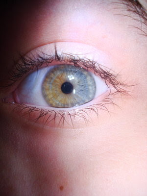 Posted Image